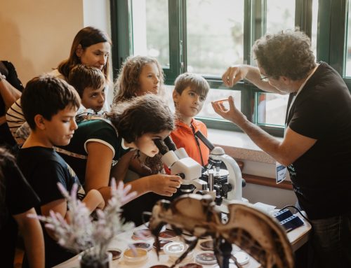 Cerca de 4000 personas han asistido a la Noche Europea de los Investigadores de la UEx